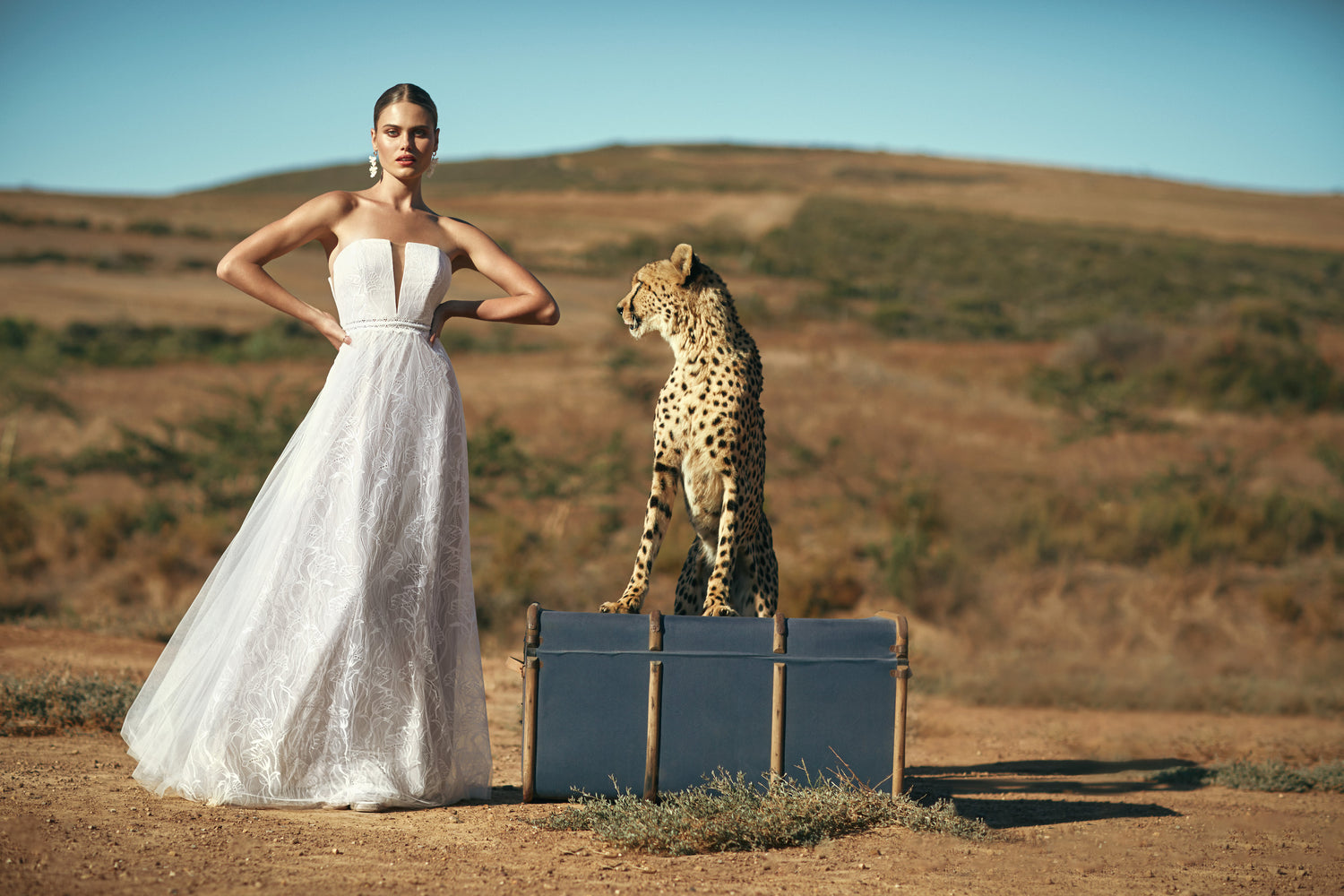 A woman stands with her hands on her hips is wearing a long modern white sleeveless floral wedding dress. The woman is standing next to a leopard that is standing on top of a blue trunk.
