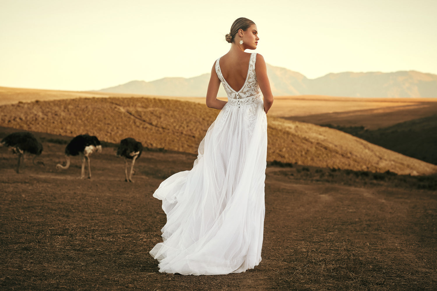 A woman stands on a hill top with a wide landscape, hills and two ostriches ahead of her. The woman is wearing a beautiful white, floral, flowing, long, deep V backline. Her hair is tied into a neat low bun and she is wearing drop floral earrings. The sun is starting to set in the distance.